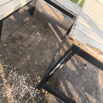 Karatay Sedirler Parklarındaki Çöp Dolu Ortam Ve Kırık Kamelyalar Acil Çözüm Bekliyor