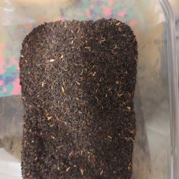 Sağlığımı Tehlikeye Atan Çay Paketi İçinde Yabancı Madde Ve Odun Parçaları