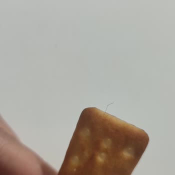 Ülker Çizi Krakerinde Saç Teli Bulunması Çocukları Endişelendirdi