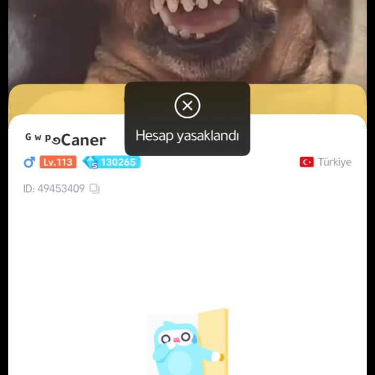 Kurallara Uymama Olmadan Kalıcı Hesap Ve Cihaz Yasağına Haksızlık