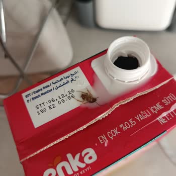 Enka Sütünde Canlı Böcek Görülmesi Sağlık Tehdidi