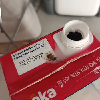 Enka Sütünde Canlı Böcek Görülmesi Sağlık Tehdidi