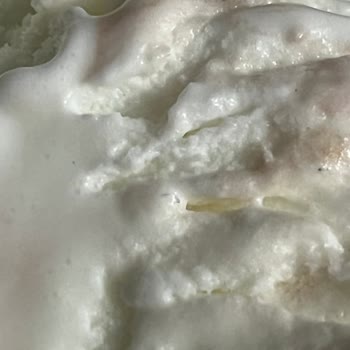 BİM Dondurmasında Görülen Gri Siyah Yabancı Cisim Ve İade Talebi