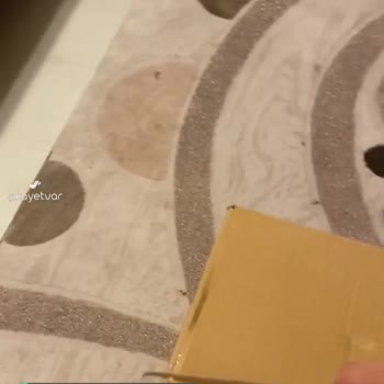 Philips Süpürge Başlığı Çıkmadı!