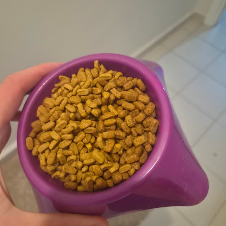 Meta Pet'ten Sahte Görünen Pro Plan Kedi Maması Ve İade Talebi
