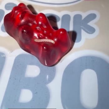 Getir’den Alınan Haribo Altın Ayıcık Paketinden Canlı Kurt Çıktı