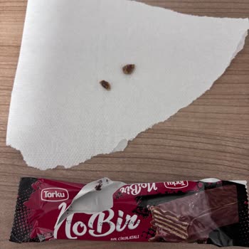 Torku Çikolatalı Gofretten Çıkan Sert Yabancı Cisim