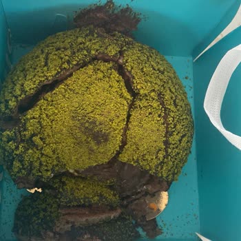 Dağılmış Doğum Günü Pastası İçin Trendyol’un İade Reddi