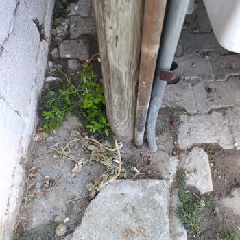 Kırklareli'de Yıkılmak Üzere Olan Türk Telekom Direği Ve Yanıtsız Müşteri Şikayeti