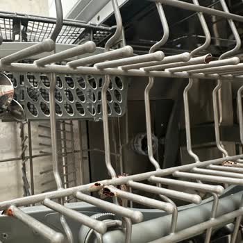 Teka Bulaşık Makinesinin Sepetleri Hızla Paslanıyor Ve Servisten Yanıt Gelmiyor