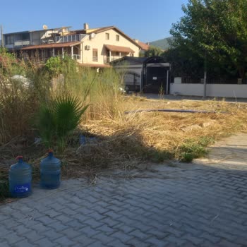 Özdere Mahallesi 1060. Sokakta Çöp Alınmaması Ve Temizlik Eksikliği