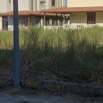 Özdere Mahallesi 1060. Sokakta Çöp Alınmaması Ve Temizlik Eksikliği