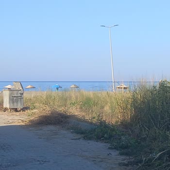 Özdere Mahallesi 1060. Sokakta Çöp Alınmaması Ve Temizlik Eksikliği