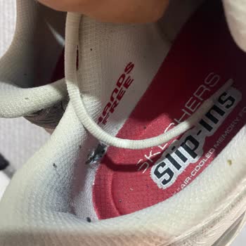 Skechers Ayakkabısının İç Astarı Kısa Sürede Yırtıldı, Değişim Talebi