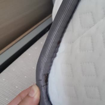 Tahta Kurusu Nedeniyle Baza Başlığı Ve Yatakta Sağlık Ve Kalite Sorunu