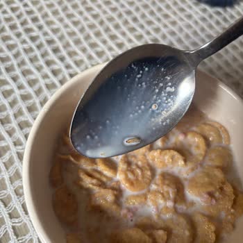 Kellogg’s Çilekli Mısır Gevreğinde Ölü Kelebek Bulunması Ve İade Talebi