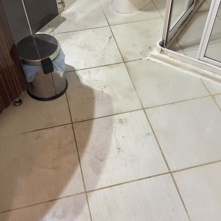Temizlik Ve Hijyen Sorunları, Kalitesiz Yemek Ve Çözüm Sunmayan Resepsiyon