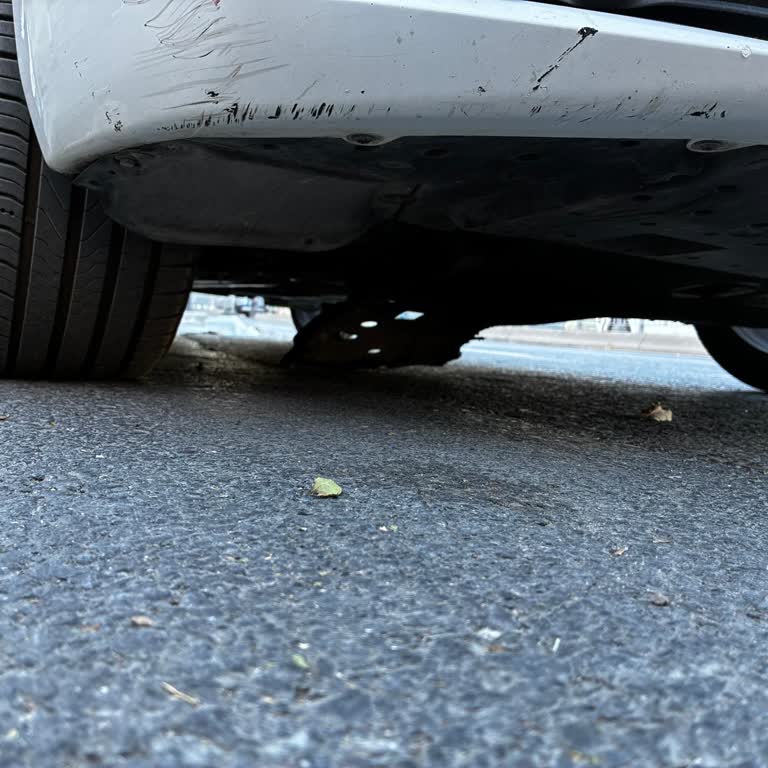 Servis Hatası Sonucu Motor Alt Koruma Keçesi Çıktı, Garanti Kaydı Eksik
