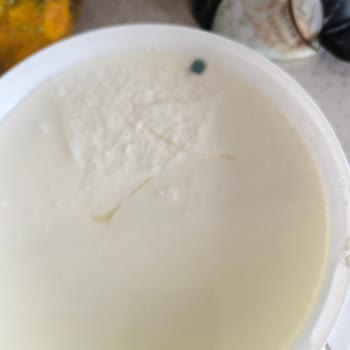 Yoğurtta Görülen Siyah Küf Benzeri Madde Tüketici Sağlığına Tehdit