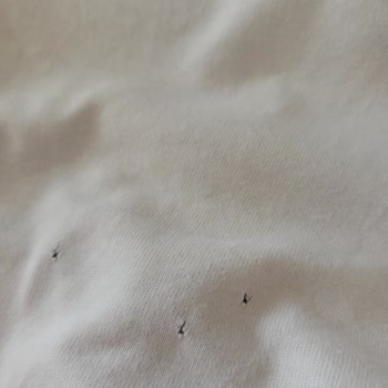 Kıyafetlerim Çamaşır Makinesinde Yırtılıyor Ve Garanti Dışı Ürün Şikayeti