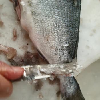 Migros Balık Reyonunda Saygısız Tutum Ve Temizlik Eksikliği