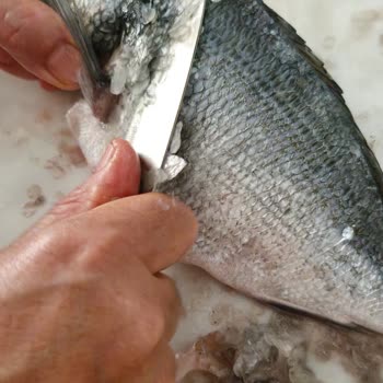 Migros Balık Reyonunda Saygısız Tutum Ve Temizlik Eksikliği