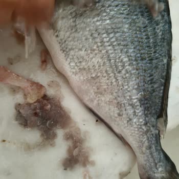 Migros Balık Reyonunda Saygısız Tutum Ve Temizlik Eksikliği