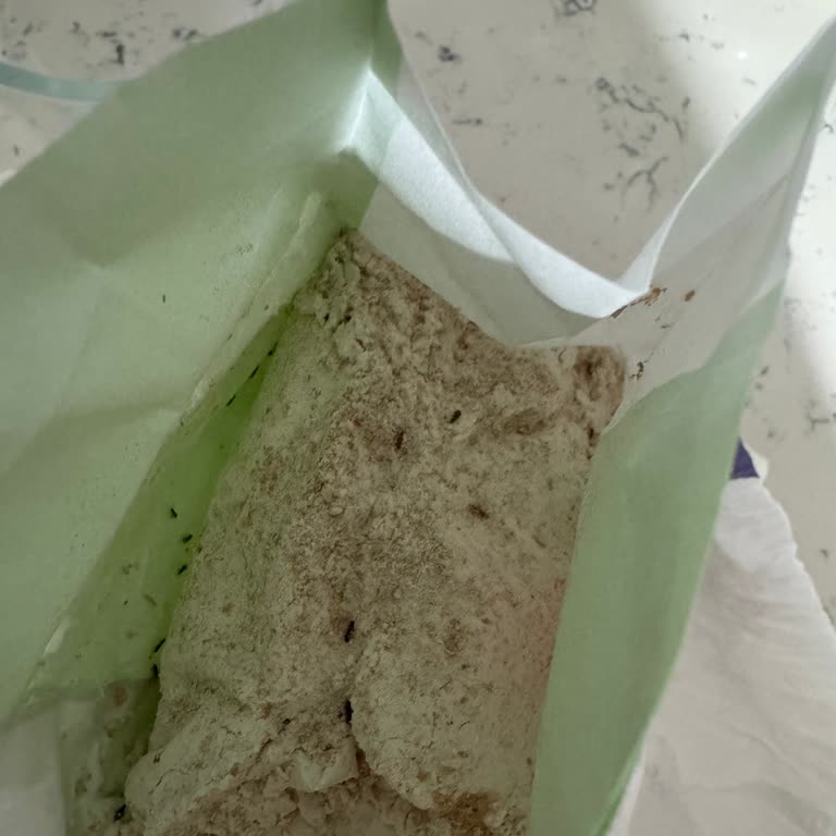 Söke Un Paketi İçinde Böcek Bulunması Ve Gıda Güvenliği Endişesi