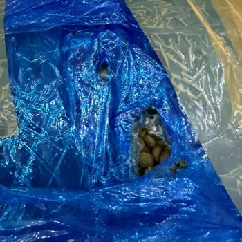 Açık Ve Paket Dışı Gönderilen Kedi Maması İçin Tam İade Talebi
