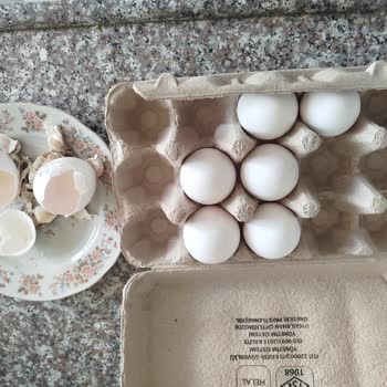 Migros Tatvan'dan Bozuk Yumurta Nedeniyle Sağlık Sorunu Ve İade Talebi