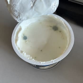 Migros Hemen Üzerinden Gelen Küflü Sek Protein Quark Sade Ürünü İçin Değişim Talebi