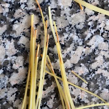 Yanmış Ve Deforme Spagetti Makarna Üretim Hatası