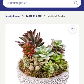 Ürün Görseli Ve Çerçeve Beklentilerime Uymadı