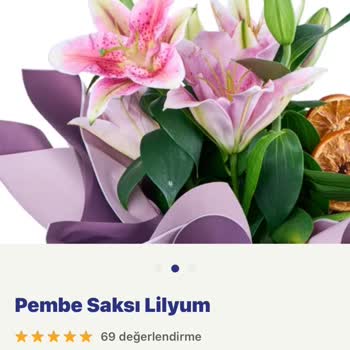 Sipariş Edilen Pembe Saksı Lilyum Yerine Başka Bir Saksı Gönderildi