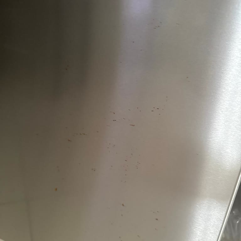Garanti Dışı Kapak Pası İçin Haksız 800 TL Servis Ücreti