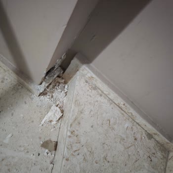 Superbox İptali İhmal Edildi Ve Evde Fiziksel Hasar Oluştu