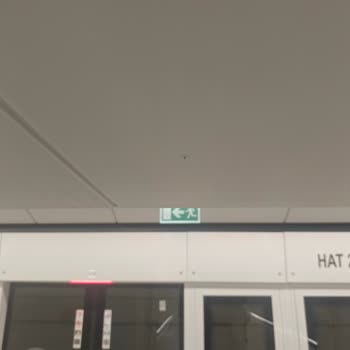 Halkalı Caddesi Ve Taşoluk Duraklarında Sivrisinek Sorunu Çocukları Tehdit Ediyor
