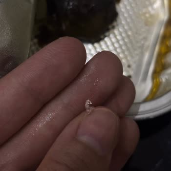 Bebek İçin Aldığım Konserve Sarma’da Cam Parçası Buluştu