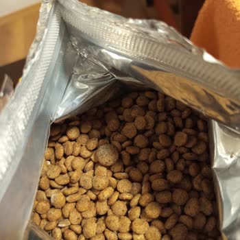 Küflü Köpek Maması İadesi Ve Kalite Kontrol Talebi