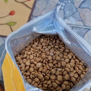 Küflü Köpek Maması İadesi Ve Kalite Kontrol Talebi