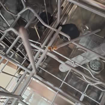 Arçelik Bulaşık Makinesinde Paslanan Alt Sepet Ve Aşırı Ücret Talebi