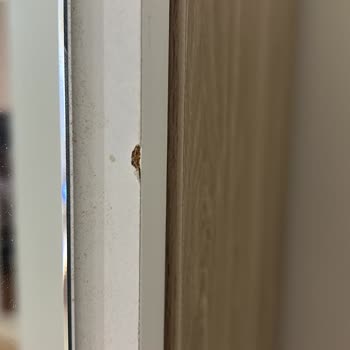 Defolu Dolap İçin İade Sürecinde Kendi Demontaj Talebi Ve Müşteri Memnuniyetsizliği