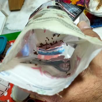 Yayla Gıda Paketi Açtığımda İçinde Kurtlanma Ve Örümcek Ağı Benzeri Yapılar Olduğunu Gördüm