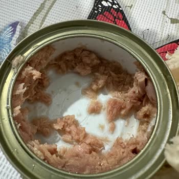 Dardanel Ton Konservesinde Saç Bulunması