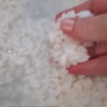 Yayla Pirinçte Büyük Sorun!
