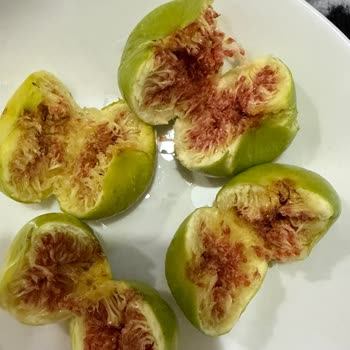 Kuru Çürük Ve Tüketilemez Ürünler Nedeniyle Mağduriyet
