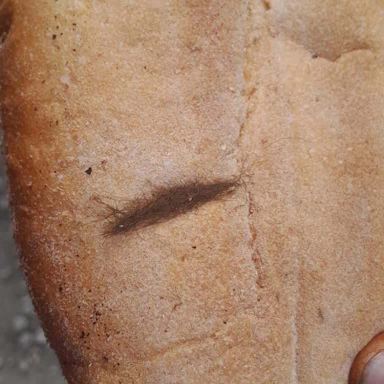Bartın Ulus Belediye Fırını Ekmeğinden İnsan Kılı Çıktı