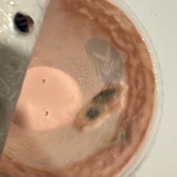 Mecidiyeköy BİM'de Çocuk İçtiği Milkshake'ta Küf Tespiti Güven Krizi