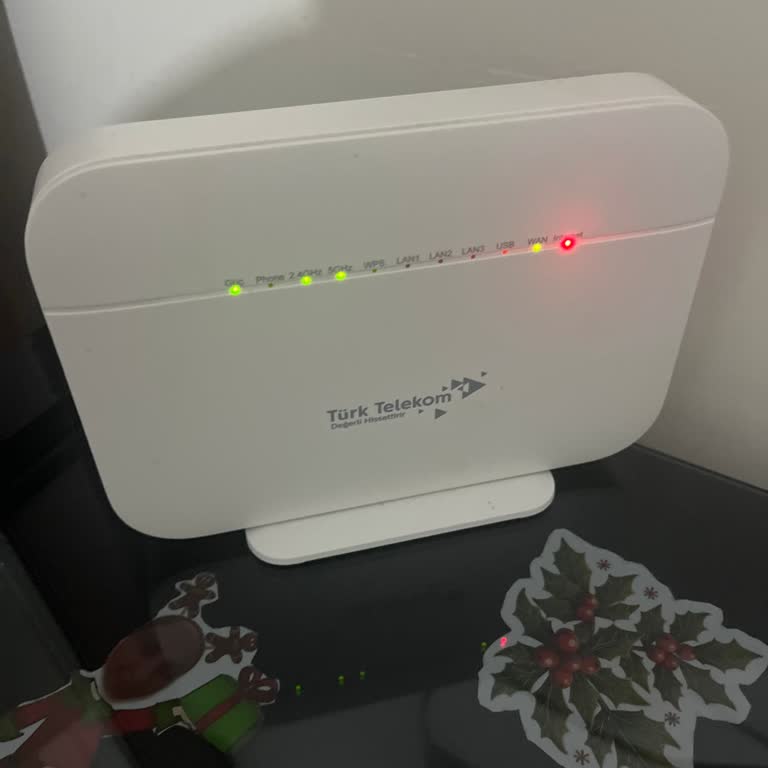 Aylık İnternet Kesintisi İçin Çözüm Ve Ücret İadesi Talebi