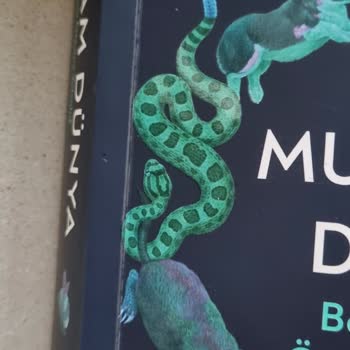 Yeni Aldığım Kitap Kısa Sürede Deforme Oldu, Değişim Ve İade Talebi